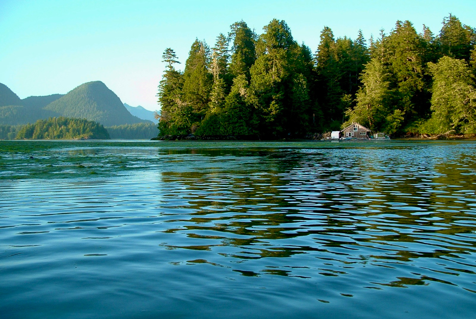 About Joanna Streetly